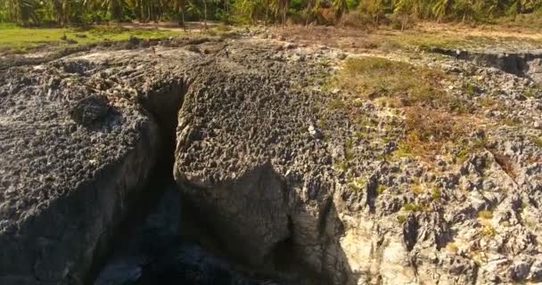 Vue aérienne d'une île exotique avec falaises et forêt de palmiers. Beauté de la nature sauvage. 4k 