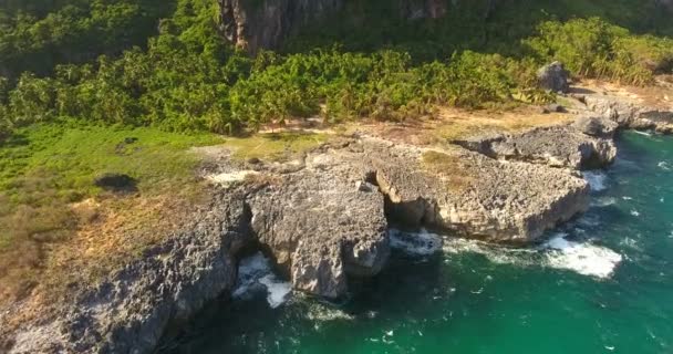 Tiro aéreo de ilha exótica com falésias e floresta de palmeiras. Beleza da natureza selvagem. 4k — Vídeo de Stock