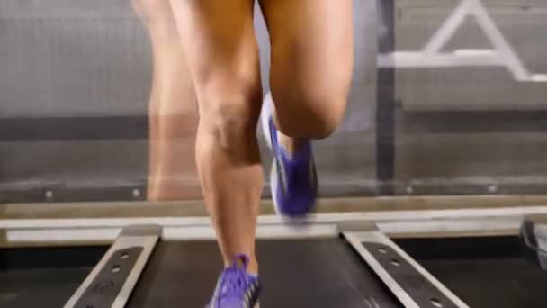 Sport nella vita. Una ventina attraente. Gambe e piedi femminili sul tapis roulant in palestra. Il concetto di benessere. sentiero pedonale. In perfetta forma. 4k — Video Stock