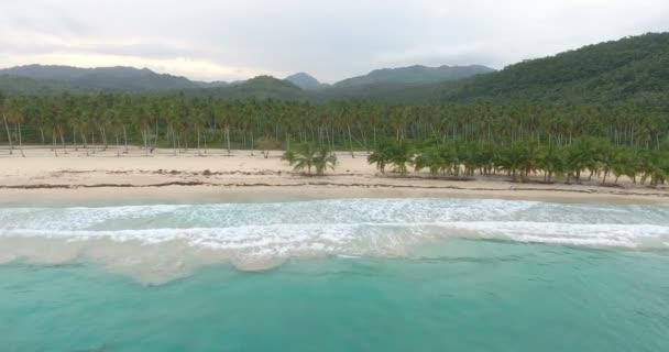 Drone uçuş egzotik cennet üzerinde. Okyanus dalgaları ve avuç içi ile egzotik ada. Turkuaz dalgalar sıçramasına üzerinde uçan. 4k — Stok video