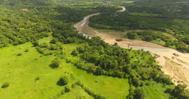 Aerial shot of exotic untouched place on exotic island. Deep palm tree forest and beautiful mountain river with rocky coastline. 4k — Stock Video