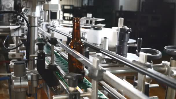 Technological line for bottling of beer in brewery. Empty brown bottles in a line in factory. Bottles Moving on Conveyor Belt at Glass Bottle Factory. Hand puts bottles on conveyor line. 4k — Stock Video