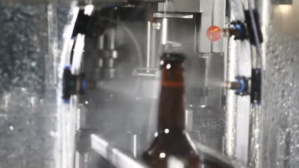 Пустые бутылки проходят технологическую линию мойки на пивной фабрике. Технологическая линия для розлива пива в пивоваренный завод. 4k — стоковое видео