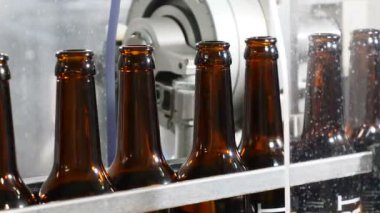 Robot dokunmatik. Bira üretim makinesinde portre vurdu. Konveyör üzerine boş bira şişeleri. Teknolojik hattı. Bira üretimi. Bira kavramı. 4k