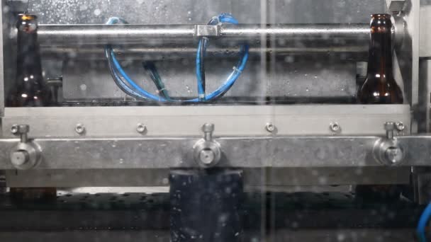 ビール工場 自動ビール生産 Techological サイクルの一部です 空のボトルは ビールを充填する前に洗っています ロボット タッチ — ストック動画