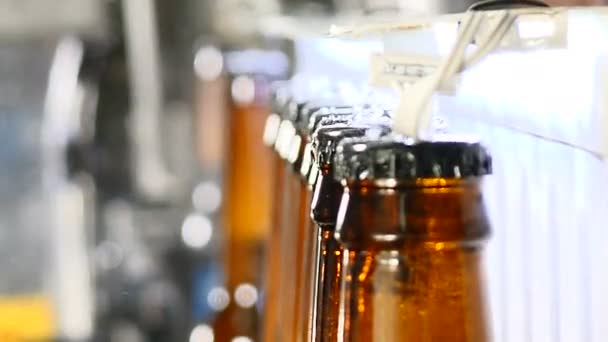 Brouwerij concept. Bier fabriek. Automatische bier bottelen lijn. Close-up shot van wachtrij van klaar gevulde flessen op de lopende. 4k — Stockvideo