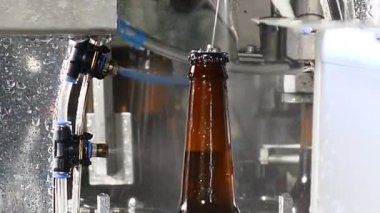 Bira kavramı. Bira fabrikası. Otomatik satır şişeleme bira. Bira şişe üretim hattı taşıma üzerinde son bölümünde görüntüsünü kapatın. Hazır şişe yıkanır. 4k