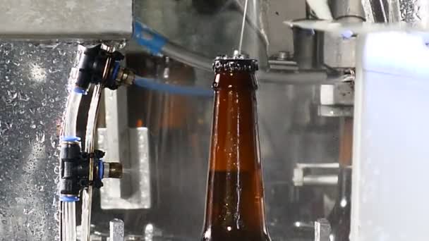 Brewery concept. Beer factory. Automatic Beer Bottling Line. Close up shot of final part of beer bottles production on transporting line. Ready bottles are being washed. 4k — Stock Video