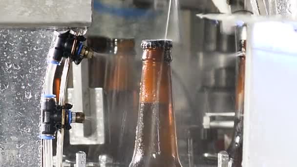 Brouwerij concept. Bier fabriek. Automatische bier bottelen lijn. Close-up shot van slotdeel van bierproductie flessen op het vervoer van de lijn. Klaar flessen zijn gewassen. 4k — Stockvideo