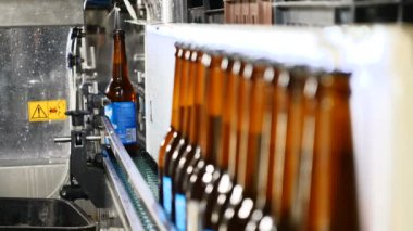 Bira kavramı. Bira fabrikası. Otomatik satır şişeleme bira. Sıra Zincirleme makara üzerinde hazır dolu şişe. El alt şişe taşıma hattından alır. 4k