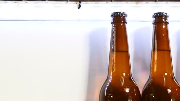 Fábrica de cerveza. Parte final de la parte tecnológica de la producción de cerveza. transportador en la fábrica de cerveza, cola de botellas llenas listas en el transportador. 4k — Vídeo de stock