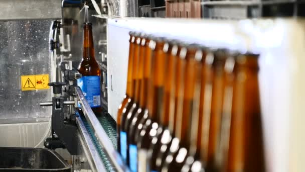 Concepto cervecero. Fábrica de cerveza. Línea automática de embotellado de cerveza. Cola de botellas llenas listas en el transportador. mano del trabajador saca botellas de la línea de transporte. 4k — Vídeos de Stock