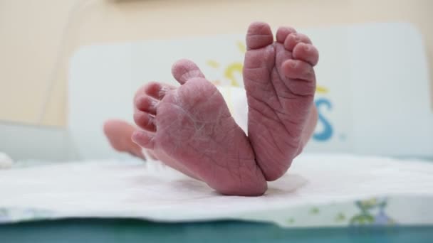 Niña recién nacida acostada sobre la espalda. El bebé está pateando y estirando las piernas tirando los dedos. Primer plano en pequeñas plantas de los pies recién nacidos. El bebé dobla dulcemente su dedo gordo del pie y toca sus pies juntos. 4k — Vídeo de stock