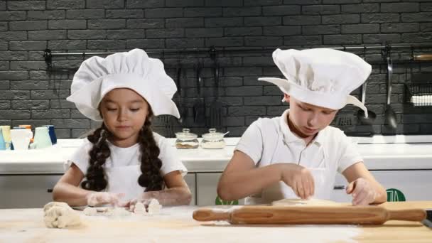 Adorable Preschool Kids Playing Real Chefs In Private Kitchen