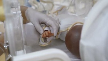 Yenidoğan annelik Kliniği kavram. Doktor el kuluçka cihazları veya couveuse bebek palm için parmak sensörler ayarlama kapatın. Bir bebek kuluçka makinesine bir gerçek bebek ya da erken çocuk sanki. Çocuk