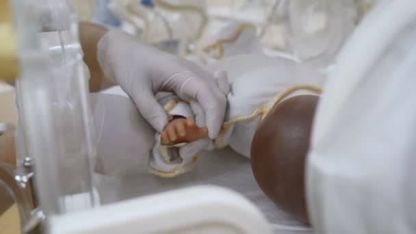 Novorozence v porodnici konceptu. Detailní záběr z rukou lékaře nastavení prstovými snímači na kojenecké palm v inkubaci přístroje nebo couveuse. A panenka v inkubátoru, jako by opravdu kojenecká nebo předčasné kid. Dítě — Stock video