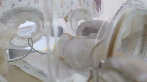 Gelukkig moederschap concept. een pasgeboren baby in een incubator, intensieve ziekenhuis therapie: Ccu, Icu, Itu. premature baby in korte baby Ondershirt. Close-up shot van dokter handen instelling medische sensoren om zuigeling in — Stockvideo