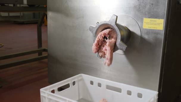 Industrielle Wurstproduktion in der Fleisch- und Wurstverarbeitungsanlage. Fleischfabrikausrüstung. Wurstfabrikation. riesige Fleischwolfmaschine produziert Hackfleisch. 4k — Stockvideo