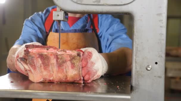 Fabbrica di lavorazione della carne. Primo piano di una sega per carne. Attrezzature moderne di fabbrica. Fabbrica di carne. Un operaio che taglia carne cruda su una sega a nastro d'acciaio. 4k — Video Stock