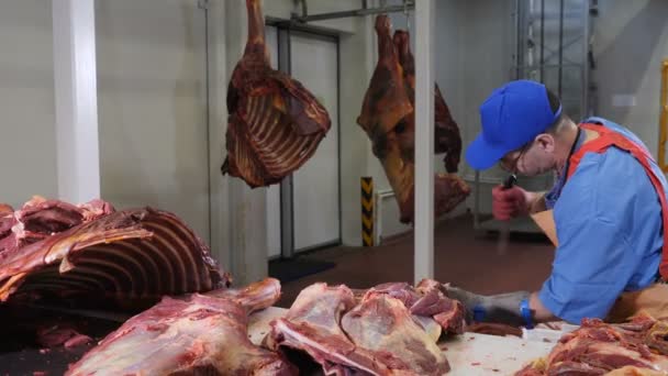 Kasap kesimi, taze et işleme. Et işleme tesisi. Sosis endüstrisi. Elinde keskin bir bıçakla eti kemikten ayıran bir et adam resmi. 4k — Stok video