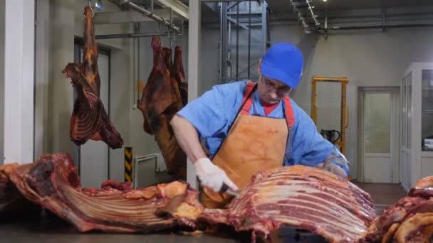 Kasap kesimi, taze et işleme. Et işleme tesisi. Sosis endüstrisi. Elinde keskin bir bıçakla eti kemikten ayıran bir et adam resmi. 4k — Stok video