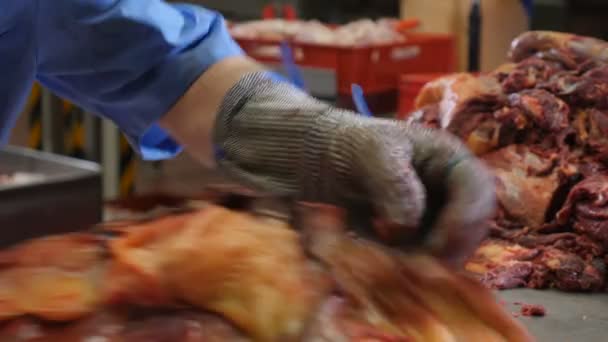 Мясник режет, перерабатывает свежее мясо. Мясокомбинат. Колбасная промышленность. Крупный план мясника с острым ножом в руке, отделяющим мясо от костей. 4k — стоковое видео