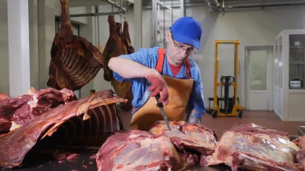 Carnicero cortando, procesando carne fresca. Planta procesadora de carne. Industria de salchichas. carnicero con un cuchillo afilado en la mano separando la carne de los huesos. 4k — Vídeos de Stock