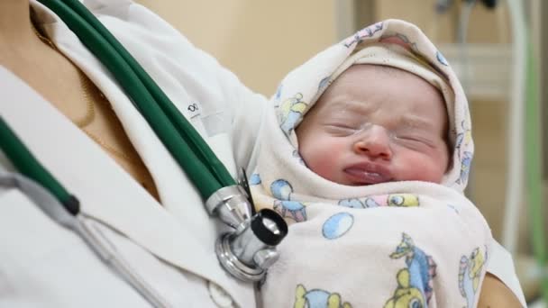 Μητρότητας concept home. Ένα μωρό που μόλις γεννήθηκε στα χέρια του γιατρού. κοριτσάκι 2 ώρες κοιμάται. Νέα αντίληψη της ζωής. Θέμα υγιές παιδί. 4k — Αρχείο Βίντεο