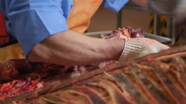 Κρεοπωλείο κοπής, επεξεργασίας νωπού κρέατος. Εργοστάσιο επεξεργασίας κρέατος. Λουκάνικο βιομηχανία. Βολή closeup της meatman με ένα κοφτερό μαχαίρι στο χέρι διαχωρισμού κρέατος από τα οστά. 4k — Αρχείο Βίντεο