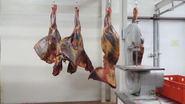 Slakteriet slaktare hängande hästkött och nötkött i frysen. kött kadavret hängande i en köttfabrik producerar korv slaktare skär en färsk rå kött för att göra korv korv biffar. 4k — Stockvideo
