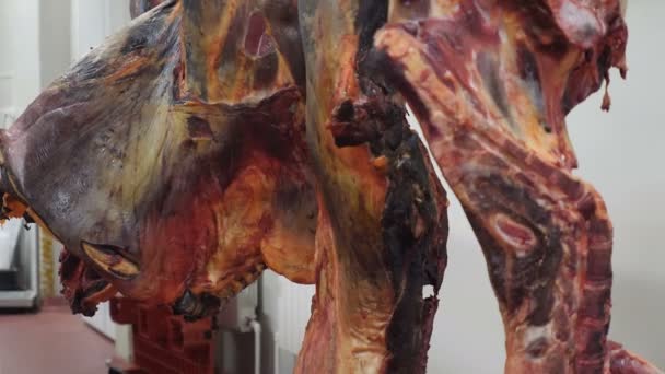 Assassinato açougueiro pendurado carne de cavalo e carne bovina no congelador. carcaça de carne pendurada em uma fábrica de carne produzindo salsichas açougueiro corta uma carne crua fresca para fazer salsichas bifes. 4k — Vídeo de Stock