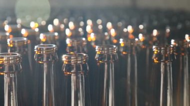 Bira kavramı. Bir sürü açık bira şişeleri. 4 k'dan fazla vurdu. yakın çekim video. Zanaat bira üretim. Görünümü darboğaz. MICROBREWERY ve brew pub kavramı. arka aydınlatma görüntüleri.