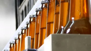 Bira Tema. Konveyör bant şişe Fabrikası - üretim ve şişeleme bira şişeleri. Şişeleme bira bira için teknolojik satır. 4k
