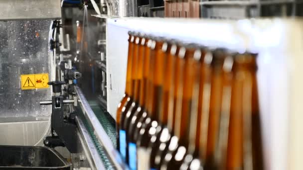 啤酒厂主题。瓶厂的传送带-生产和装瓶中的啤酒瓶。啤酒厂啤酒装瓶技术生产线。4k — 图库视频影像