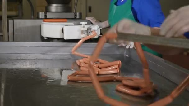 Producción de salchichas en la fábrica de procesamiento de carne. Fábrica de alimentos. Trabajadores de fábricas de salchichas produciendo salchichas. Línea automática en planta cárnica. Manos de trabajadores formando salchichas y salchichas colgantes para ser — Vídeos de Stock