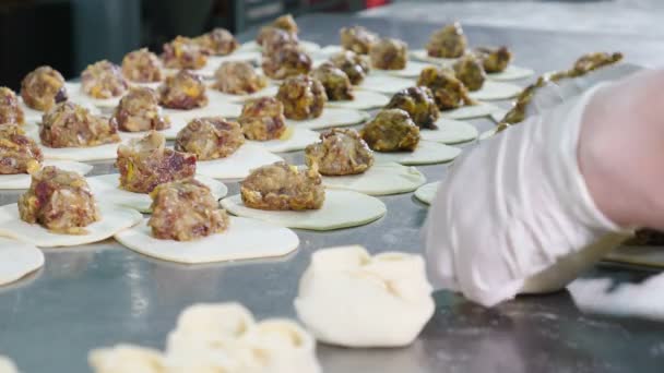 Hacer albóndigas de carne en la fábrica de carne. Trabajadoras con guantes de látex blanco y envoltura uniforme de carne en masa. Fábrica de carne procesando. 4k — Vídeos de Stock