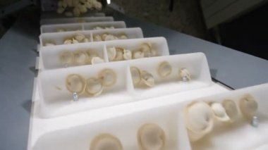 Et fabrikası. Et endüstrisi. Bir çeşit gıda işleme. Pelmeni ve ravioli üretim hattı. Otomatik konveyör. 4k