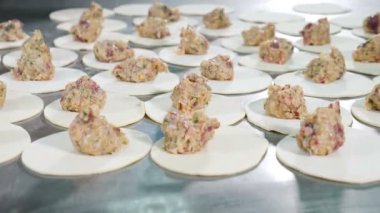 Heykel çöplükleri. beyaz lateks eldiven kadın işçiler köfte yapmak için hamur et sarın. Et fabrikası. Yakından kapatın. 4k