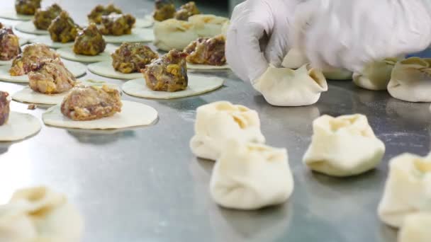 A fazer bolinhos de carne na fábrica de carne. Trabalhadoras do sexo feminino em luvas de látex branco e carne de embrulho uniforme em massa. Processos de fábrica de carne. 4k — Vídeo de Stock