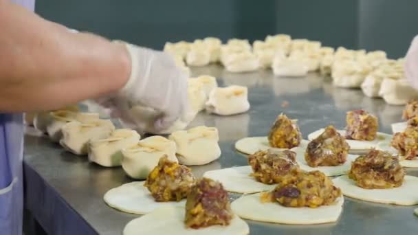 Farag dumpllings. a női munkavállalók fehér latex kesztyű csomagolást húst tésztát készítésére gombóc. Húsgyár. Közelről. 4k — Stock videók