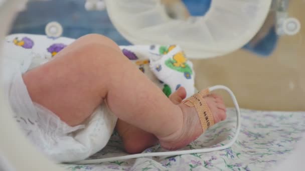 Salvare la vita. Bambino prematuro in incubatrice sotto la supervisione del medico. Primo piano di mani di infermiera in guanti blu che toccano i piedi del neonato. 4k — Video Stock