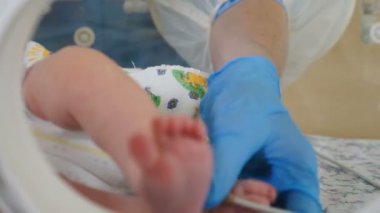 Doğum kliniği konsepti. kuvözde yenidoğan, yoğun hastane tedavisi: Ccu, Yoğun Bakım, İtü. Couveuse bebek şiddetle parmaklarını, ayak ve bacak hareket eder. Eldivenli doktor kapat. 4k