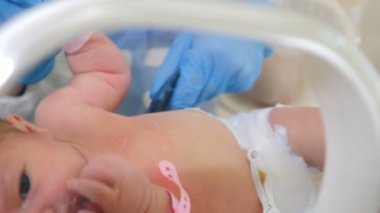 Yenidoğan in kuvöz, yoğun hastane tedavisi: Ccu, Yoğun Bakım, İtü. Mavi eldivenli doktor bebek bebeğin minik elini tutuyor. Doğum kliniğinde doktor gözetimi. 4k