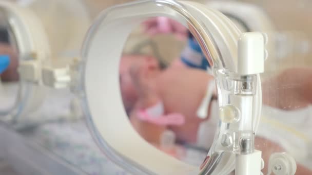 Neonatology koncepció, újszülött csecsemő gondoskodott az orvos neonatológus és a nővér. Orvosi műszerek kis testen. munkaügyi helyiség kórházban, 4k — Stock videók