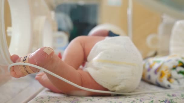 Moderskaps kliniken. Att rädda livs konceptet. För tidigt födda i inkubator under överinseende av läkare. Närbild spädbarn Baby fötter flyttar med medicintekniska produkter på. 4K — Stockvideo
