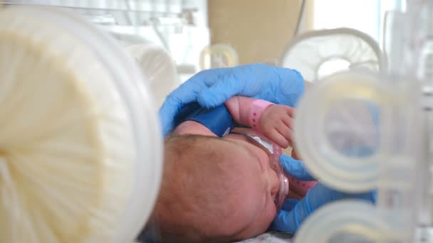 Концепция детского дома и здоровья детей. Крупный план рук медсестры в голубых перчатках, касающихся головы, ног и рук новорожденного. 4k — стоковое видео