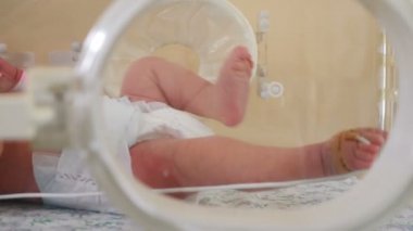 Hastanede yeni doğmuş bebek. Doğum ev ve Çocuk sağlık kavramı. Çocuk kuvözdeki bebek, hayat kurtarıcı. 4k