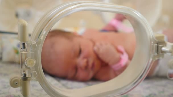 Концепція материнства. Передчасна дитина в інкубаторі під наглядом лікаря. Розмиті кадри новонародженого в купе. немовля не в центрі уваги. 4k — стокове відео