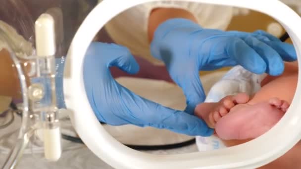 Nouveau-né aux urgences. Médecin en gants bleus touchant et tenant les pieds de bébé couchés dans un appareil d'incubation ou couveuse. Concept de survie. Vidéo 4 k — Video