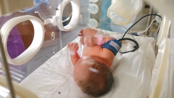 Πρόωρο μωρό σε εκκολαπτήριο. Η υποστήριξη της ζωής των νεογέννητων. Πόδι βρέφους στο κρεβάτι του νοσοκομείου εντατικής θεραπείας μετά τη γέννηση. Νεογέννητο 1 ημέρας, αίθουσα εργασίας στο νοσοκομείο. Closeup. CCU, εντατική, ITU. 4K — Αρχείο Βίντεο
